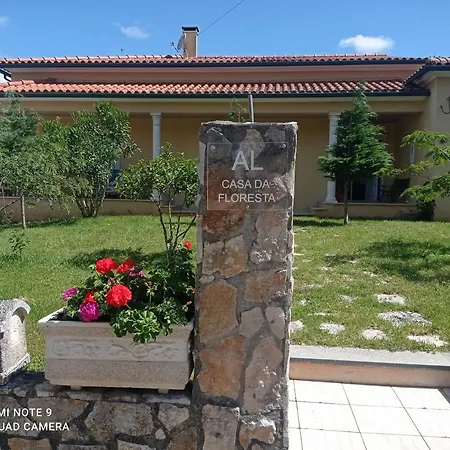 Casa Da Floresta *