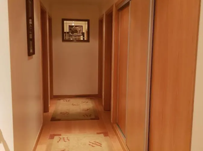 Casa Da Floresta Hébergement de vacances Santiago da Guarda