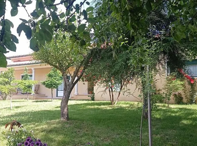 Casa Da Floresta Hébergement de vacances Santiago da Guarda